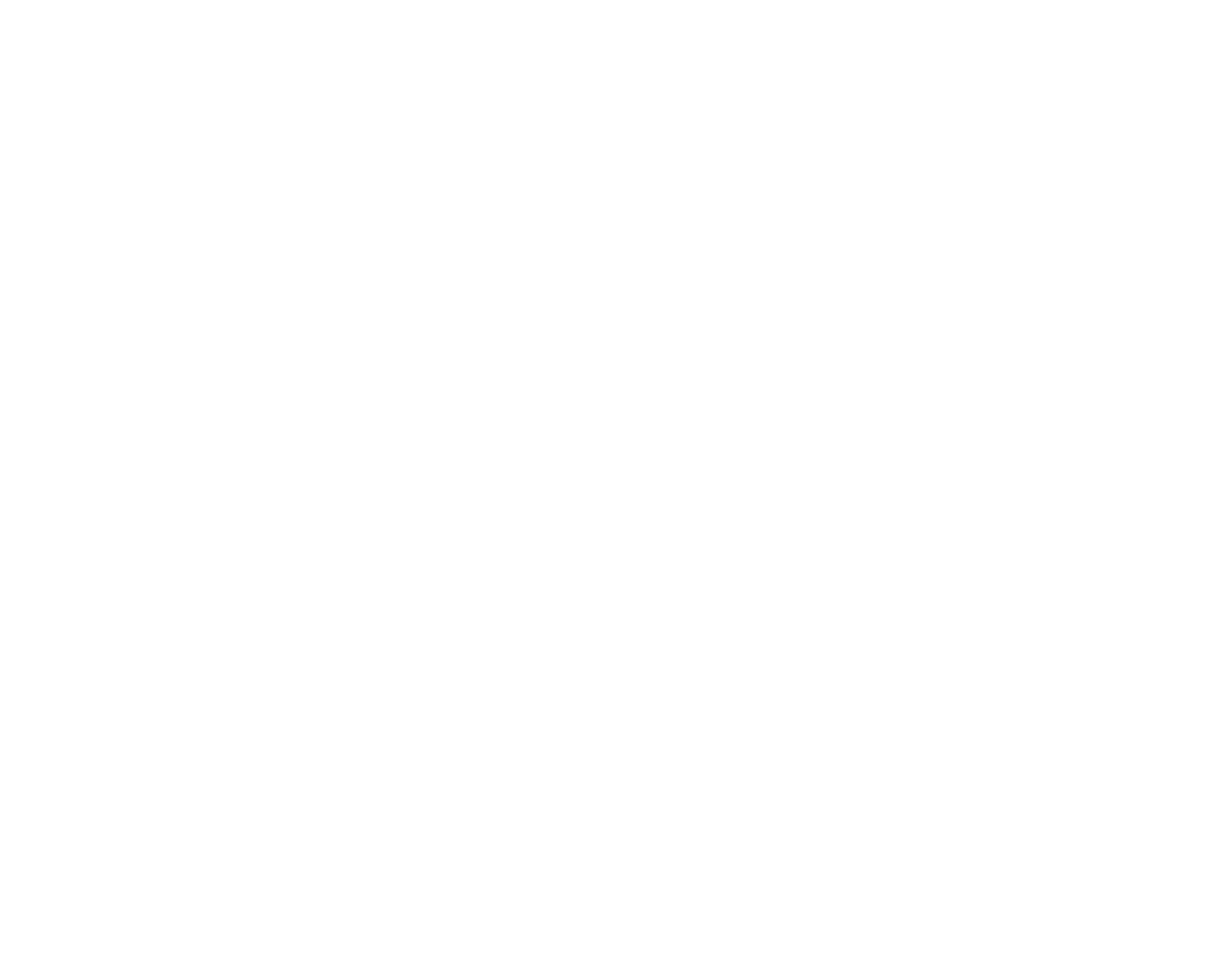 Ashley McBryde Logo - white